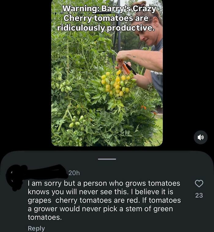 63 Cringe And Hilarious Moments Of People Being Wrong With Full Confidence (New Pics) 63 Cringe And Hilarious Moments Of People Being Wrong With Full Confidence (New Pics)