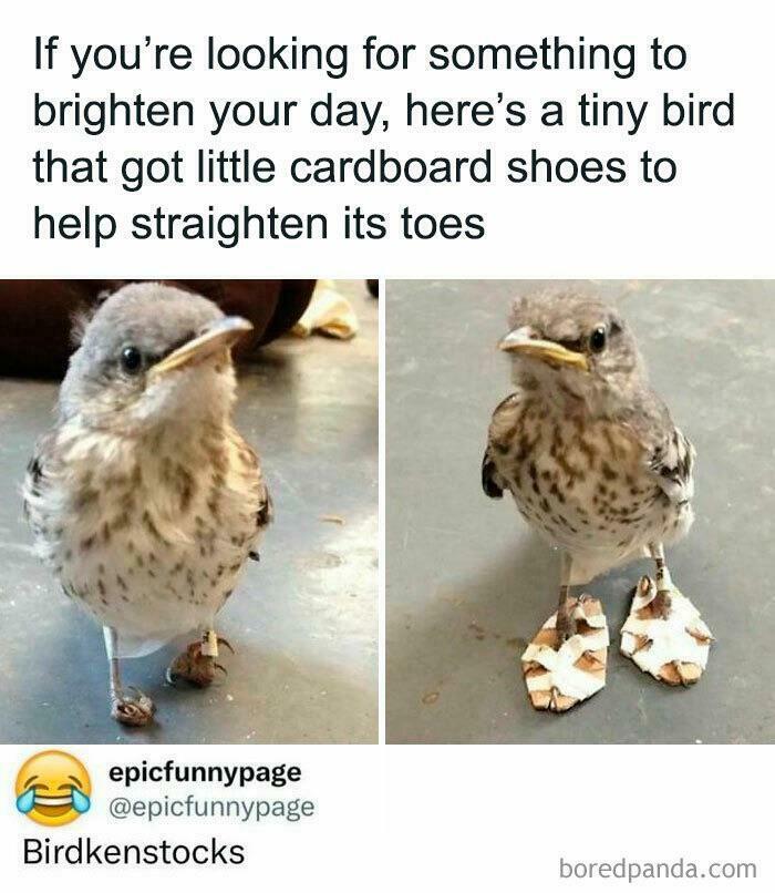 Having A Boring Day? These 75 Random Jokes Might Be The Laugh You Didn&rsquo;t Know You Needed