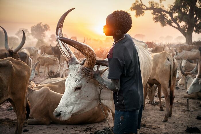 A Stunning Look At The World Through The Eyes Of The 2026 European Photography Awards Winners (23 Pics) A Stunning Look At The World Through The Eyes Of The 2026 European Photography Awards Winners (23 Pics)