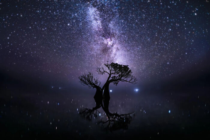 A Stunning Look At The World Through The Eyes Of The 2026 European Photography Awards Winners (23 Pics) A Stunning Look At The World Through The Eyes Of The 2026 European Photography Awards Winners (23 Pics)