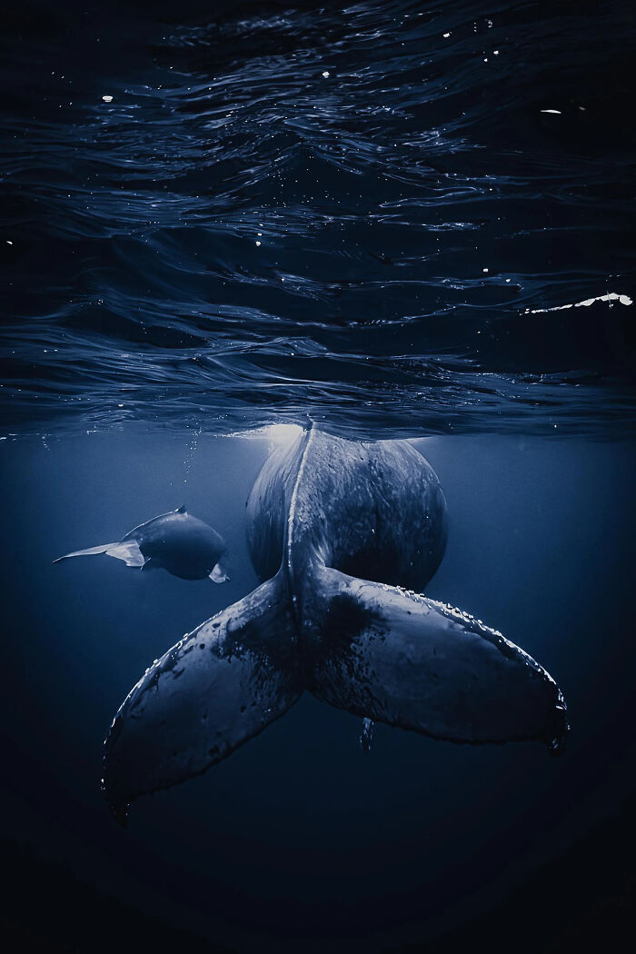 A Stunning Look At The World Through The Eyes Of The 2026 European Photography Awards Winners (23 Pics) A Stunning Look At The World Through The Eyes Of The 2026 European Photography Awards Winners (23 Pics)