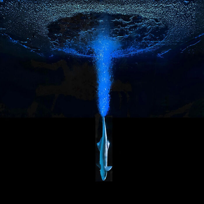 A Stunning Look At The World Through The Eyes Of The 2026 European Photography Awards Winners (23 Pics) A Stunning Look At The World Through The Eyes Of The 2026 European Photography Awards Winners (23 Pics)