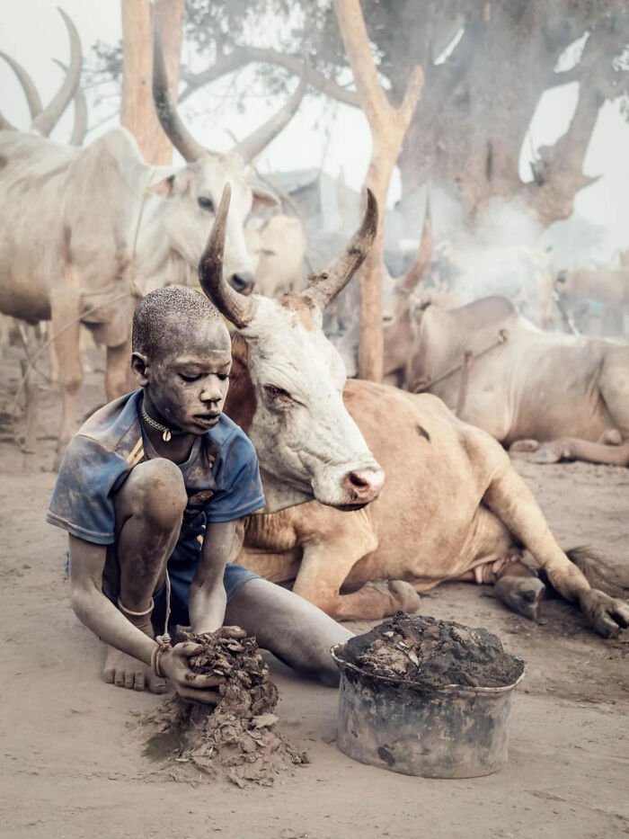 A Stunning Look At The World Through The Eyes Of The 2026 European Photography Awards Winners (23 Pics) A Stunning Look At The World Through The Eyes Of The 2026 European Photography Awards Winners (23 Pics)