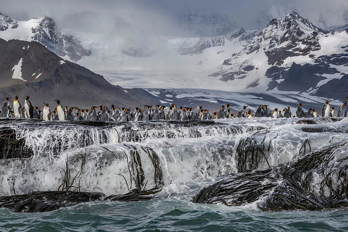 A Stunning Look At The World Through The Eyes Of The 2026 European Photography Awards Winners (23 Pics) A Stunning Look At The World Through The Eyes Of The 2026 European Photography Awards Winners (23 Pics)