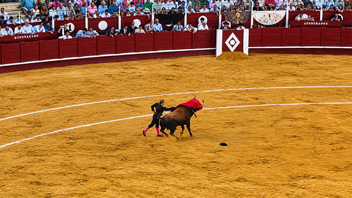 I Went To A Bullfight In Málaga And Left With More Questions Than I Arrived With I Went To A Bullfight In Málaga And Left With More Questions Than I Arrived With