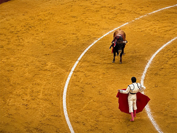I Went To A Bullfight In Málaga And Left With More Questions Than I Arrived With I Went To A Bullfight In Málaga And Left With More Questions Than I Arrived With