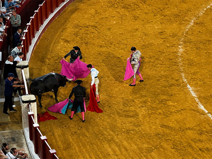 I Went To A Bullfight In Málaga And Left With More Questions Than I Arrived With I Went To A Bullfight In Málaga And Left With More Questions Than I Arrived With