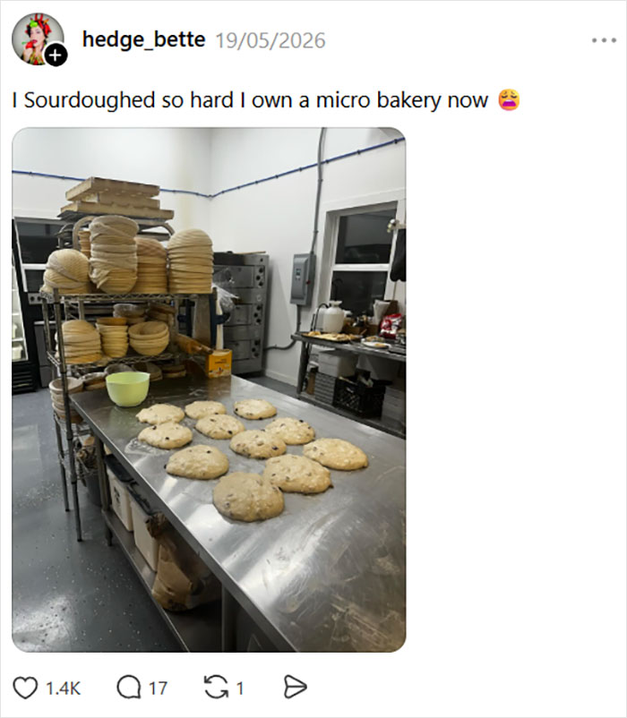 Millennial “Crisis Hobbies” Are Having A Moment, And The Activities On The List Are Oddly Specific Millennial “Crisis Hobbies” Are Having A Moment, And The Activities On The List Are Oddly Specific