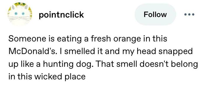 82 Of The Best Things That Have Ever Been Shared On Tumblr (New Pics)