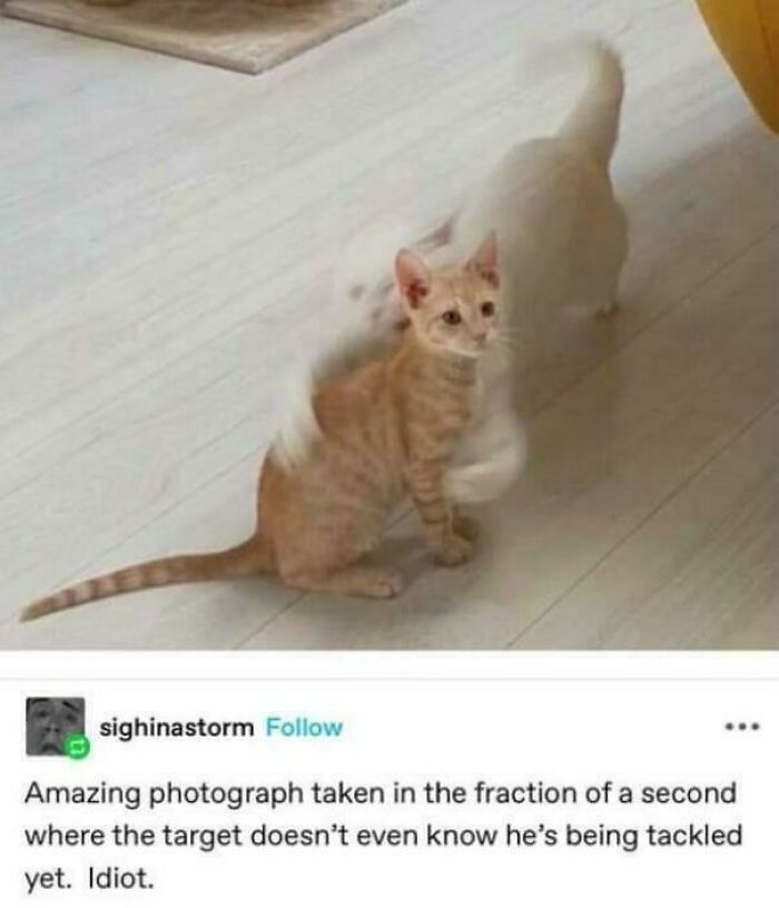 82 Of The Best Things That Have Ever Been Shared On Tumblr (New Pics)