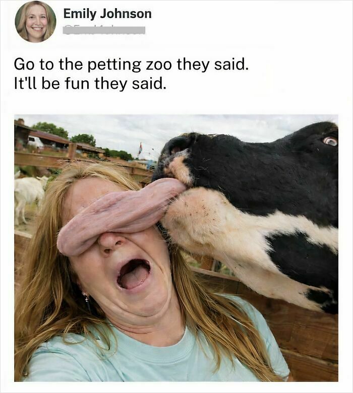 97 Animal Memes To Make Your Day Way Brighter And Better 97 Animal Memes To Make Your Day Way Brighter And Better