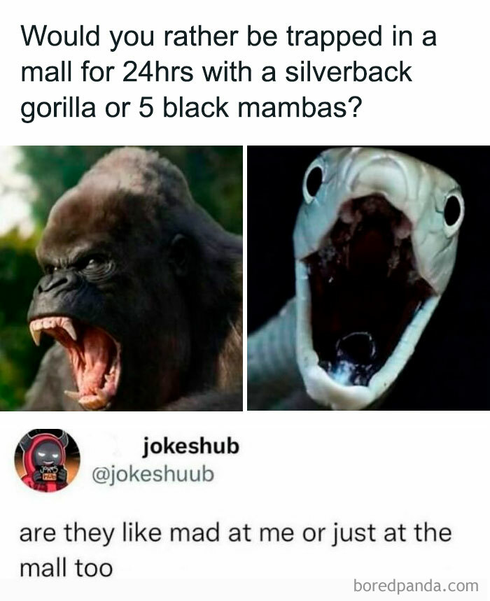 97 Animal Memes To Make Your Day Way Brighter And Better 97 Animal Memes To Make Your Day Way Brighter And Better