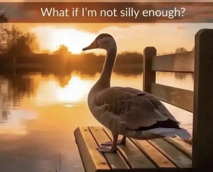 97 Animal Memes To Make Your Day Way Brighter And Better 97 Animal Memes To Make Your Day Way Brighter And Better