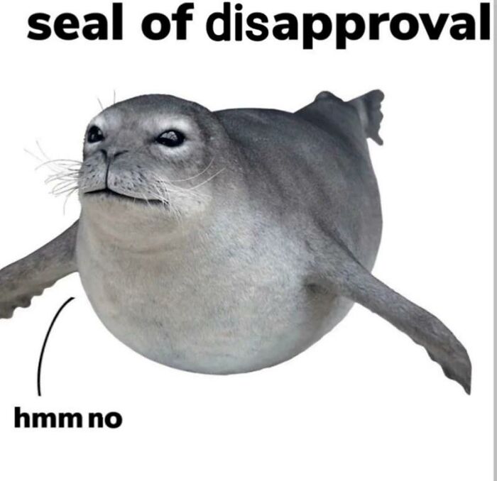 97 Animal Memes To Make Your Day Way Brighter And Better 97 Animal Memes To Make Your Day Way Brighter And Better