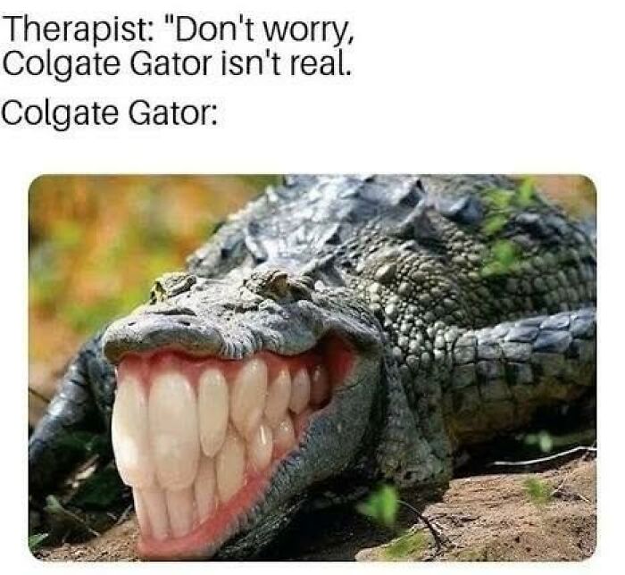 97 Animal Memes To Make Your Day Way Brighter And Better 97 Animal Memes To Make Your Day Way Brighter And Better