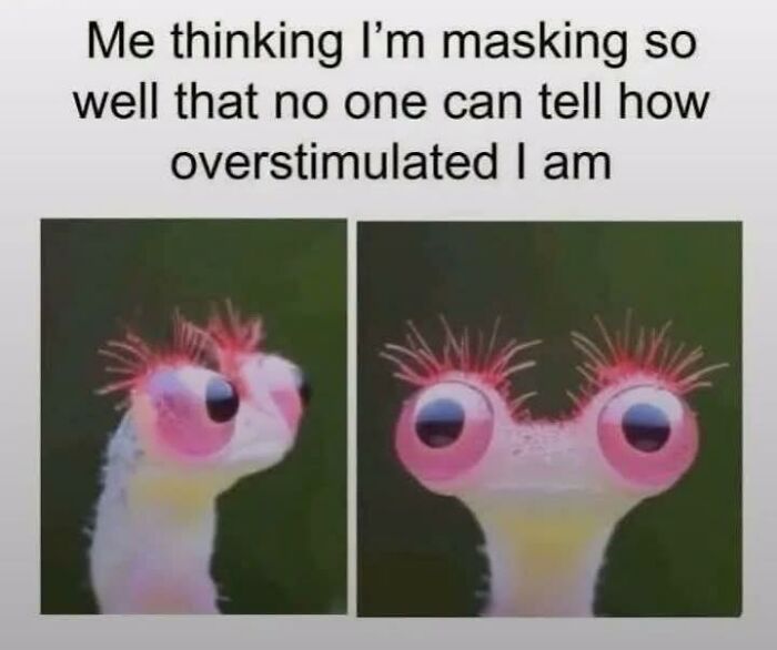 97 Animal Memes To Make Your Day Way Brighter And Better 97 Animal Memes To Make Your Day Way Brighter And Better