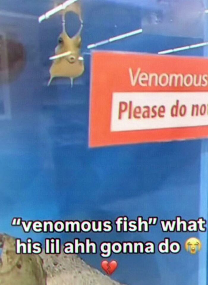 97 Animal Memes To Make Your Day Way Brighter And Better 97 Animal Memes To Make Your Day Way Brighter And Better