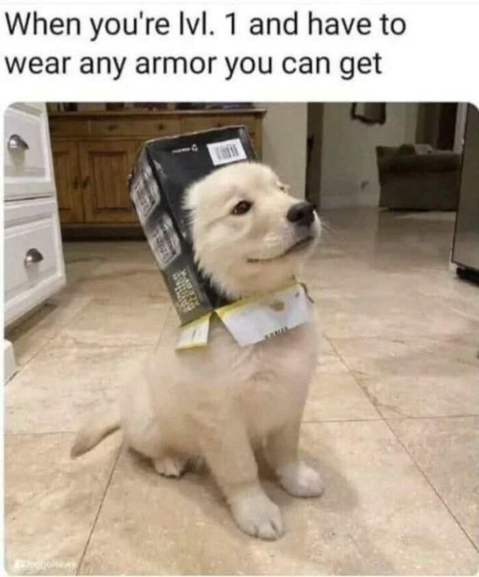 97 Animal Memes To Make Your Day Way Brighter And Better 97 Animal Memes To Make Your Day Way Brighter And Better