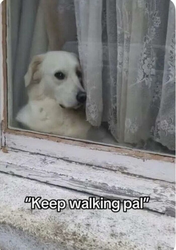 97 Animal Memes To Make Your Day Way Brighter And Better 97 Animal Memes To Make Your Day Way Brighter And Better