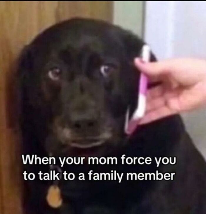 97 Animal Memes To Make Your Day Way Brighter And Better 97 Animal Memes To Make Your Day Way Brighter And Better