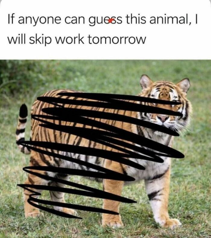 97 Animal Memes To Make Your Day Way Brighter And Better 97 Animal Memes To Make Your Day Way Brighter And Better