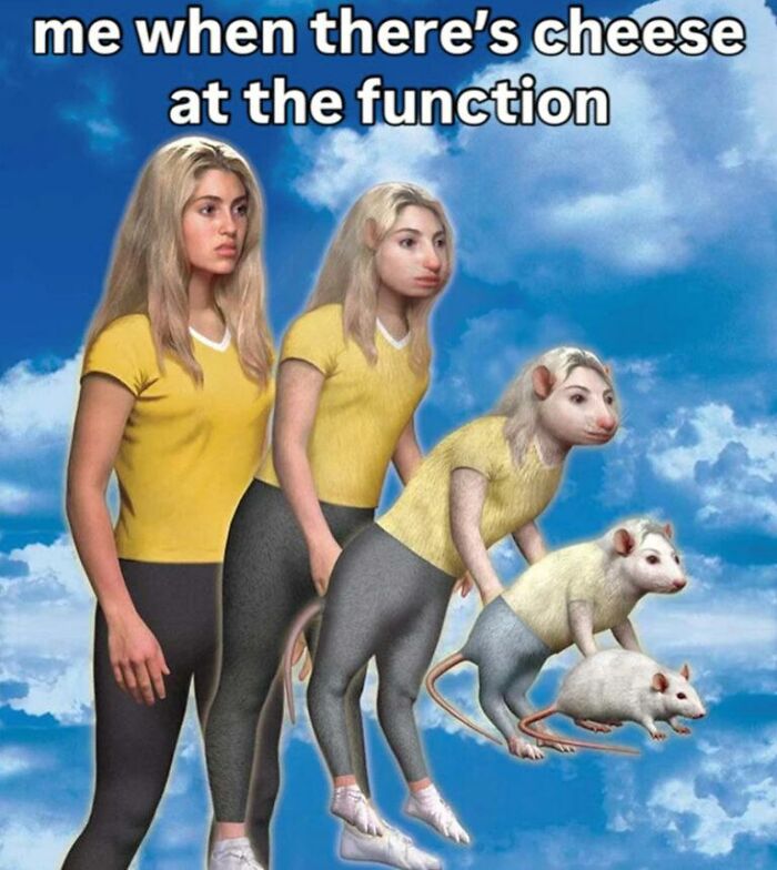 97 Animal Memes To Make Your Day Way Brighter And Better 97 Animal Memes To Make Your Day Way Brighter And Better