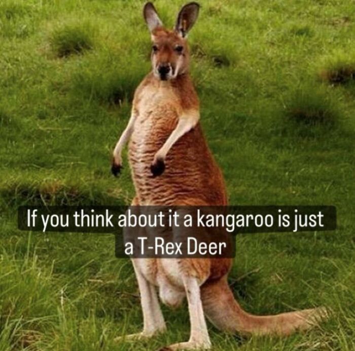 97 Animal Memes To Make Your Day Way Brighter And Better 97 Animal Memes To Make Your Day Way Brighter And Better