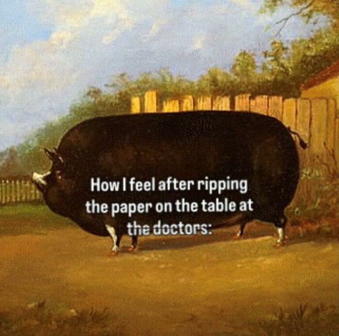 97 Animal Memes To Make Your Day Way Brighter And Better 97 Animal Memes To Make Your Day Way Brighter And Better