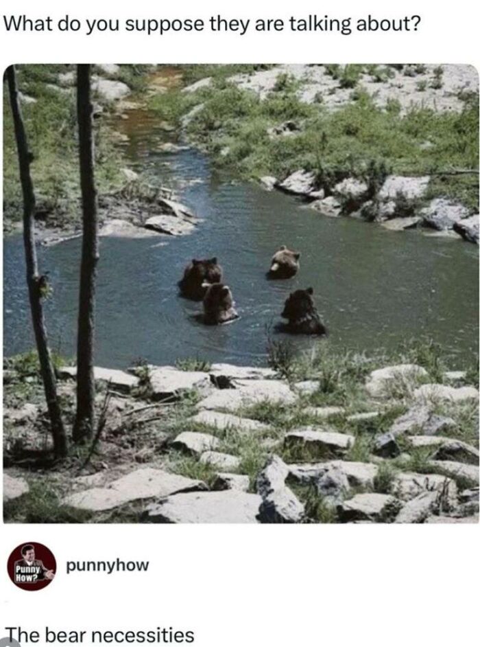 97 Animal Memes To Make Your Day Way Brighter And Better 97 Animal Memes To Make Your Day Way Brighter And Better