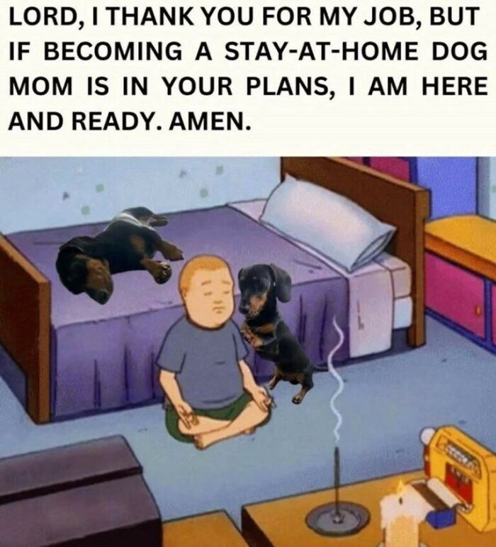 97 Animal Memes To Make Your Day Way Brighter And Better 97 Animal Memes To Make Your Day Way Brighter And Better