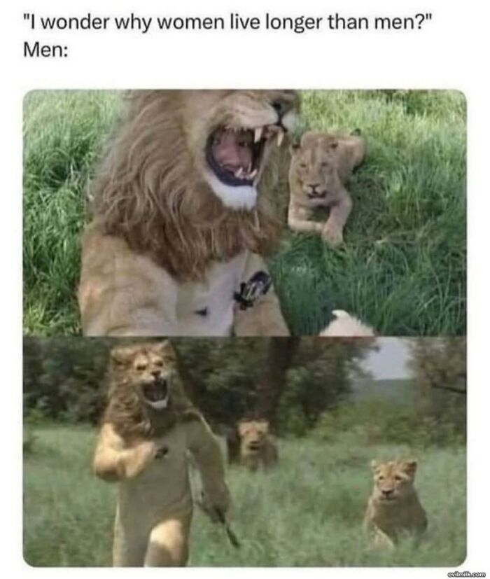 97 Animal Memes To Make Your Day Way Brighter And Better 97 Animal Memes To Make Your Day Way Brighter And Better