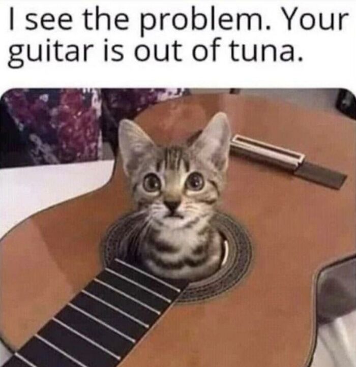 97 Animal Memes To Make Your Day Way Brighter And Better 97 Animal Memes To Make Your Day Way Brighter And Better