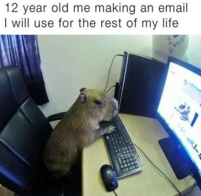 97 Animal Memes To Make Your Day Way Brighter And Better 97 Animal Memes To Make Your Day Way Brighter And Better