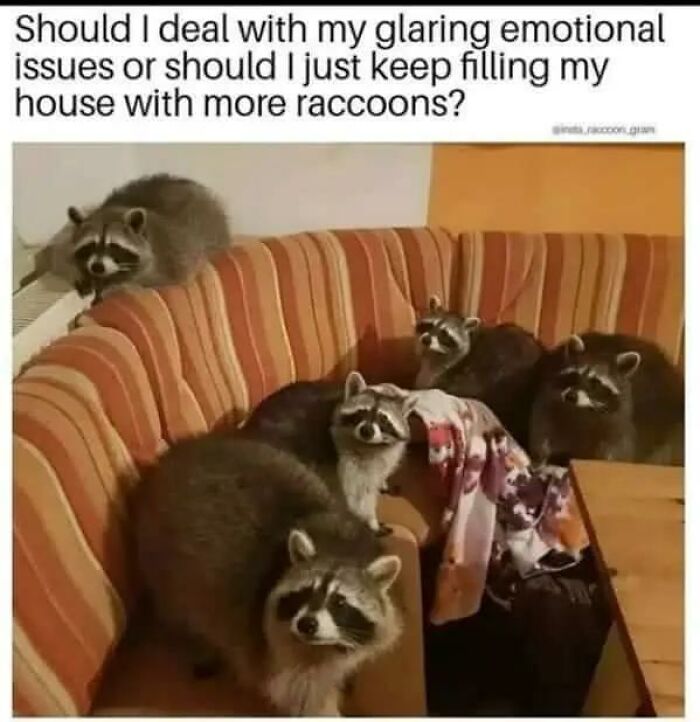 97 Animal Memes To Make Your Day Way Brighter And Better 97 Animal Memes To Make Your Day Way Brighter And Better