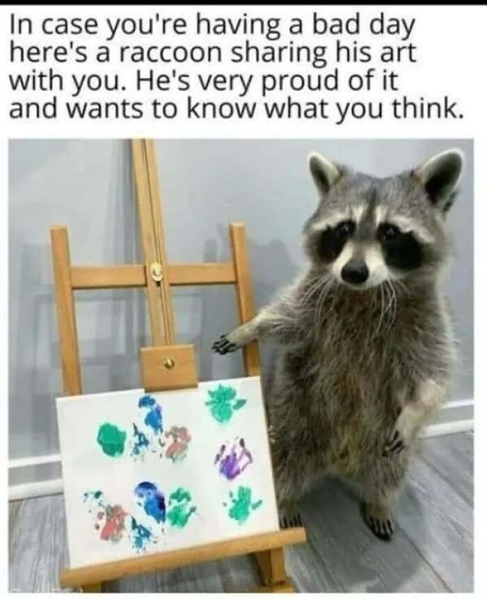 97 Animal Memes To Make Your Day Way Brighter And Better 97 Animal Memes To Make Your Day Way Brighter And Better