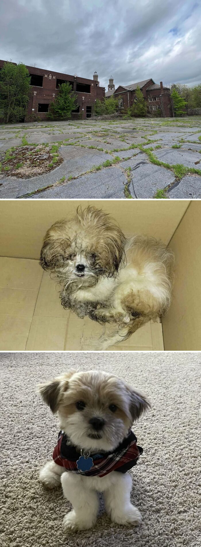73 Times People Were Exploring Abandoned Places And Found Something Very Unexpected