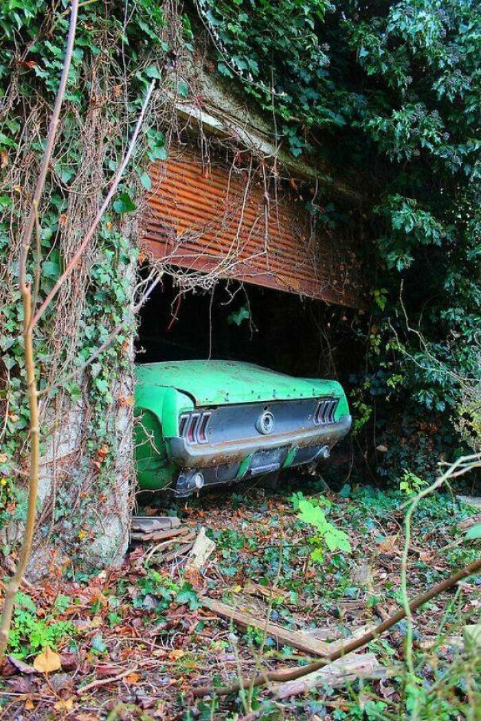 73 Times People Were Exploring Abandoned Places And Found Something Very Unexpected