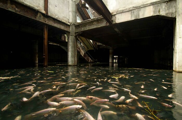 73 Times People Were Exploring Abandoned Places And Found Something Very Unexpected
