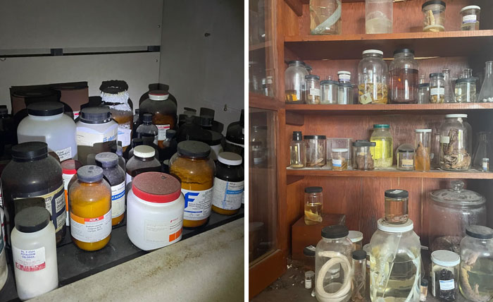 73 Times People Were Exploring Abandoned Places And Found Something Very Unexpected