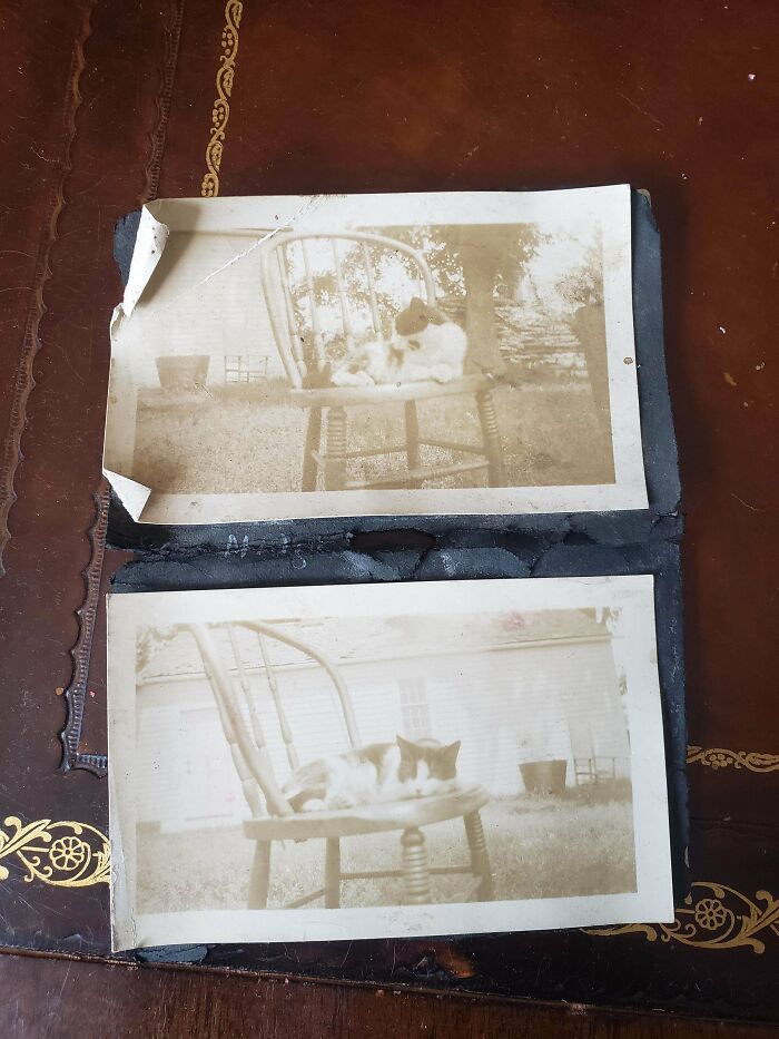 73 Times People Were Exploring Abandoned Places And Found Something Very Unexpected