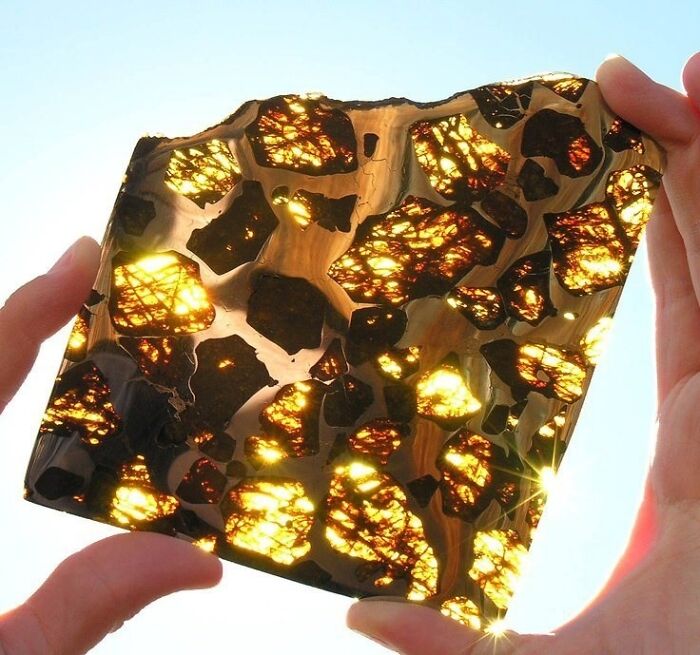 &ldquo;Not What I Expected&rdquo;: 86 Interesting And Surprising Photos Of Objects Cut In Half