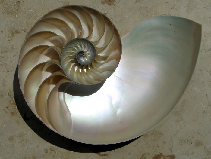 &ldquo;Not What I Expected&rdquo;: 86 Interesting And Surprising Photos Of Objects Cut In Half