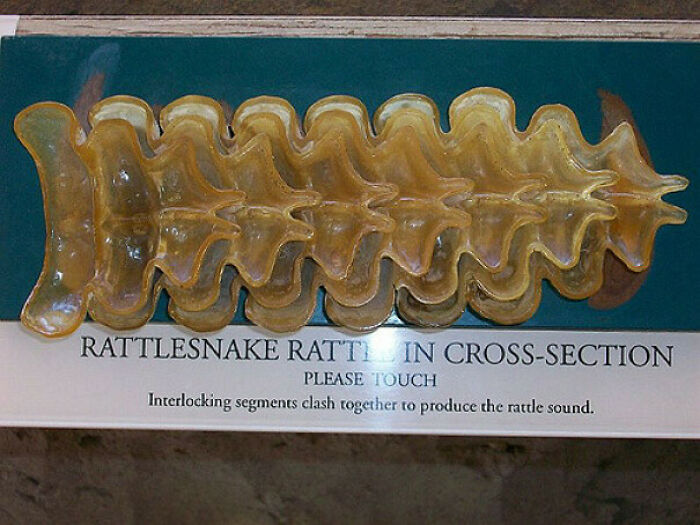 &ldquo;Not What I Expected&rdquo;: 86 Interesting And Surprising Photos Of Objects Cut In Half