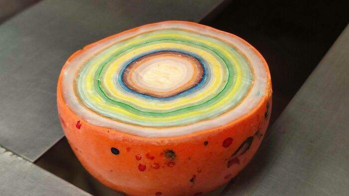 &ldquo;Not What I Expected&rdquo;: 86 Interesting And Surprising Photos Of Objects Cut In Half