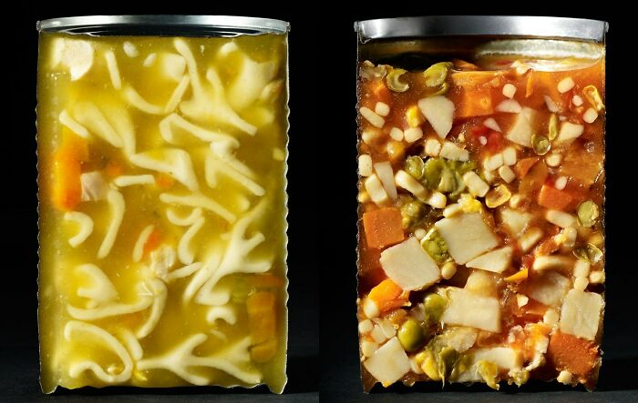 &ldquo;Not What I Expected&rdquo;: 86 Interesting And Surprising Photos Of Objects Cut In Half