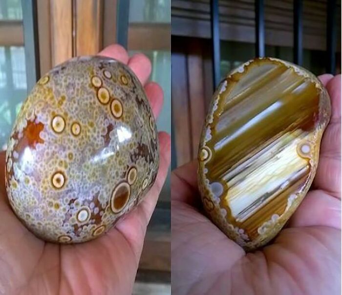 &ldquo;Not What I Expected&rdquo;: 86 Interesting And Surprising Photos Of Objects Cut In Half