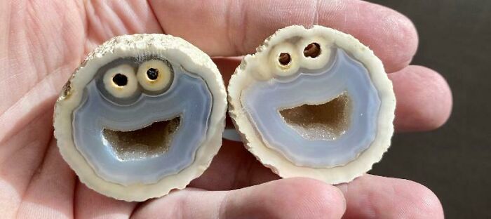 &ldquo;Not What I Expected&rdquo;: 86 Interesting And Surprising Photos Of Objects Cut In Half