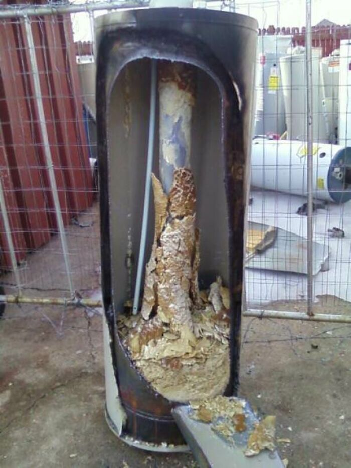 &ldquo;Not What I Expected&rdquo;: 86 Interesting And Surprising Photos Of Objects Cut In Half