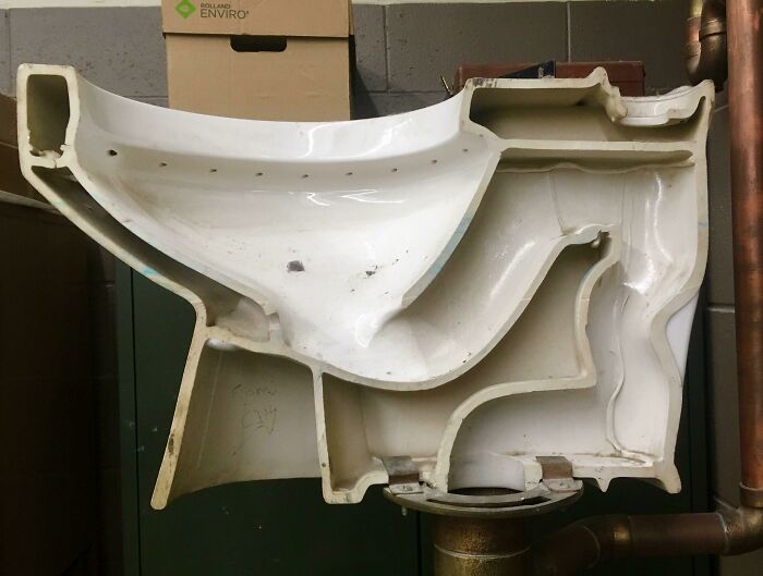 &ldquo;Not What I Expected&rdquo;: 86 Interesting And Surprising Photos Of Objects Cut In Half