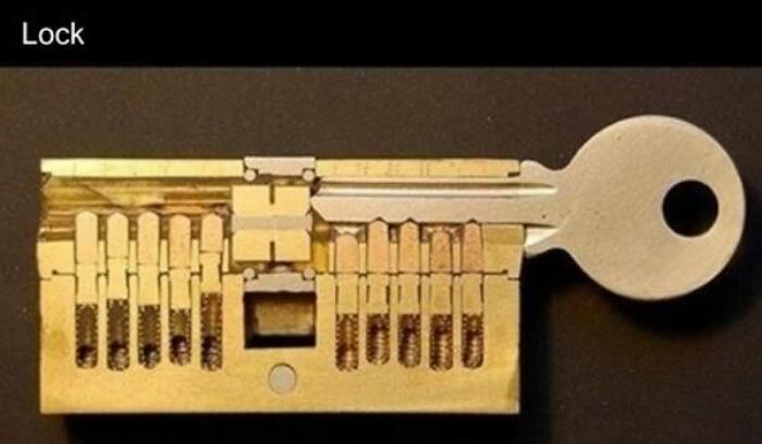 &ldquo;Not What I Expected&rdquo;: 86 Interesting And Surprising Photos Of Objects Cut In Half